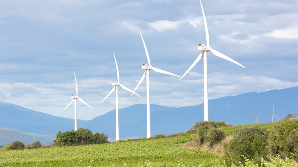 Multiplication des projets d’implantation de parcs éoliens dans les territoires ruraux et en particulier dans le Cantal.