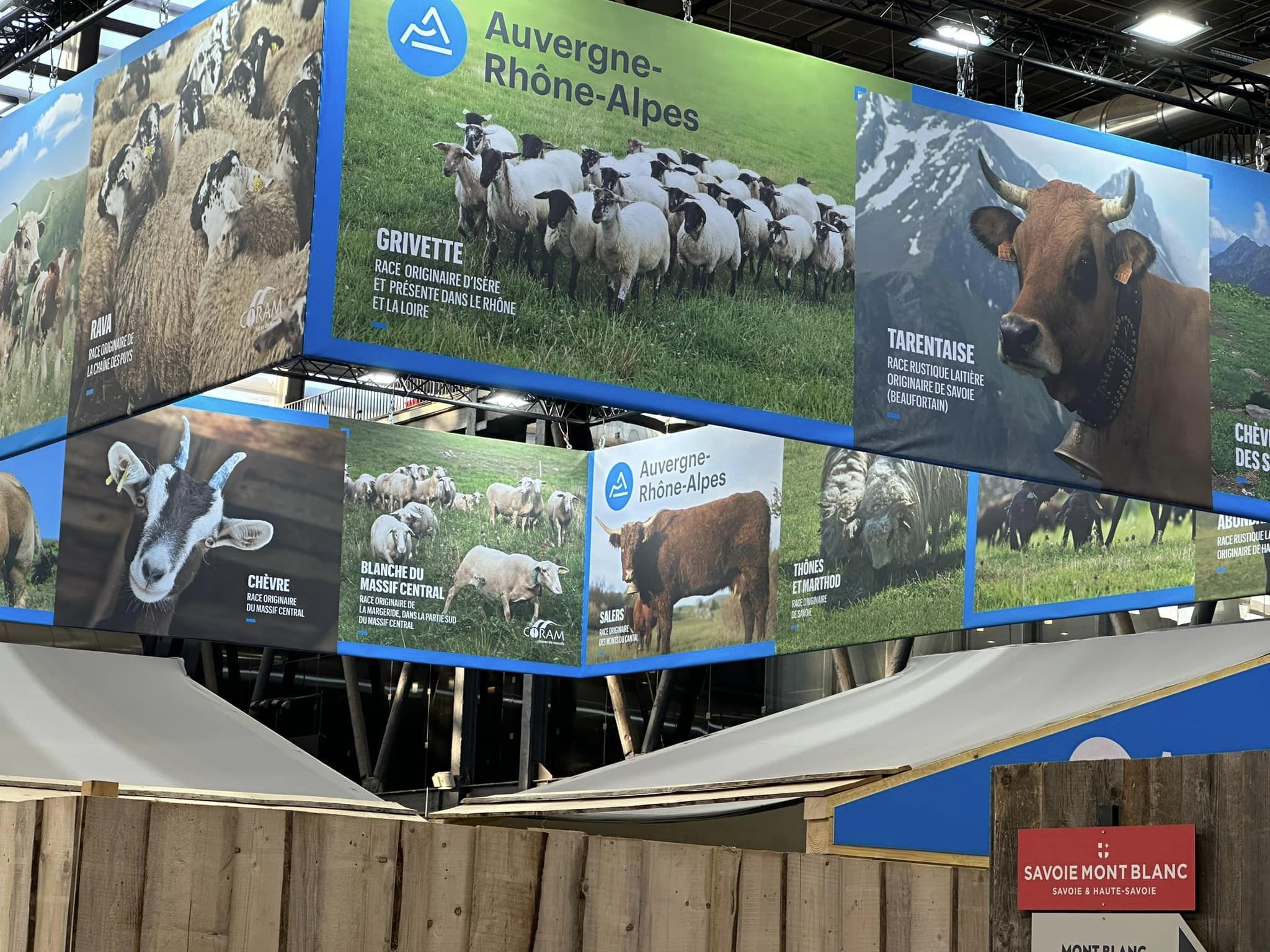 334060340_885192239547327_4928788238533439462_n 334060340_885192239547327_4928788238533439462_n