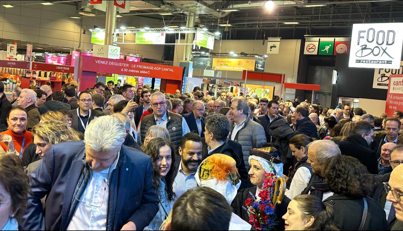 334079030_1141078889892782_4567267230260234042_n 334079030_1141078889892782_4567267230260234042_n