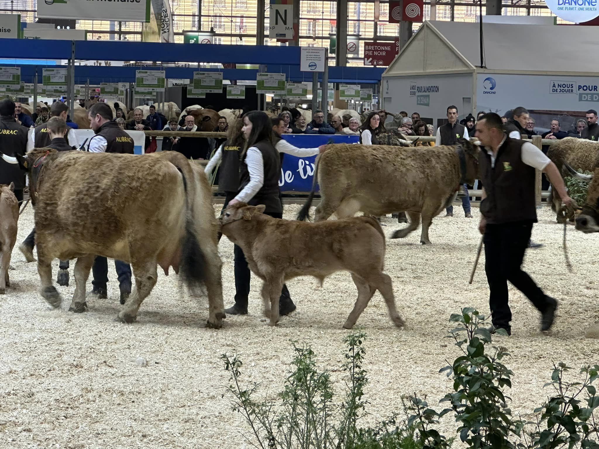 334111580_143898741893081_8697230187847951401_n 334111580_143898741893081_8697230187847951401_n