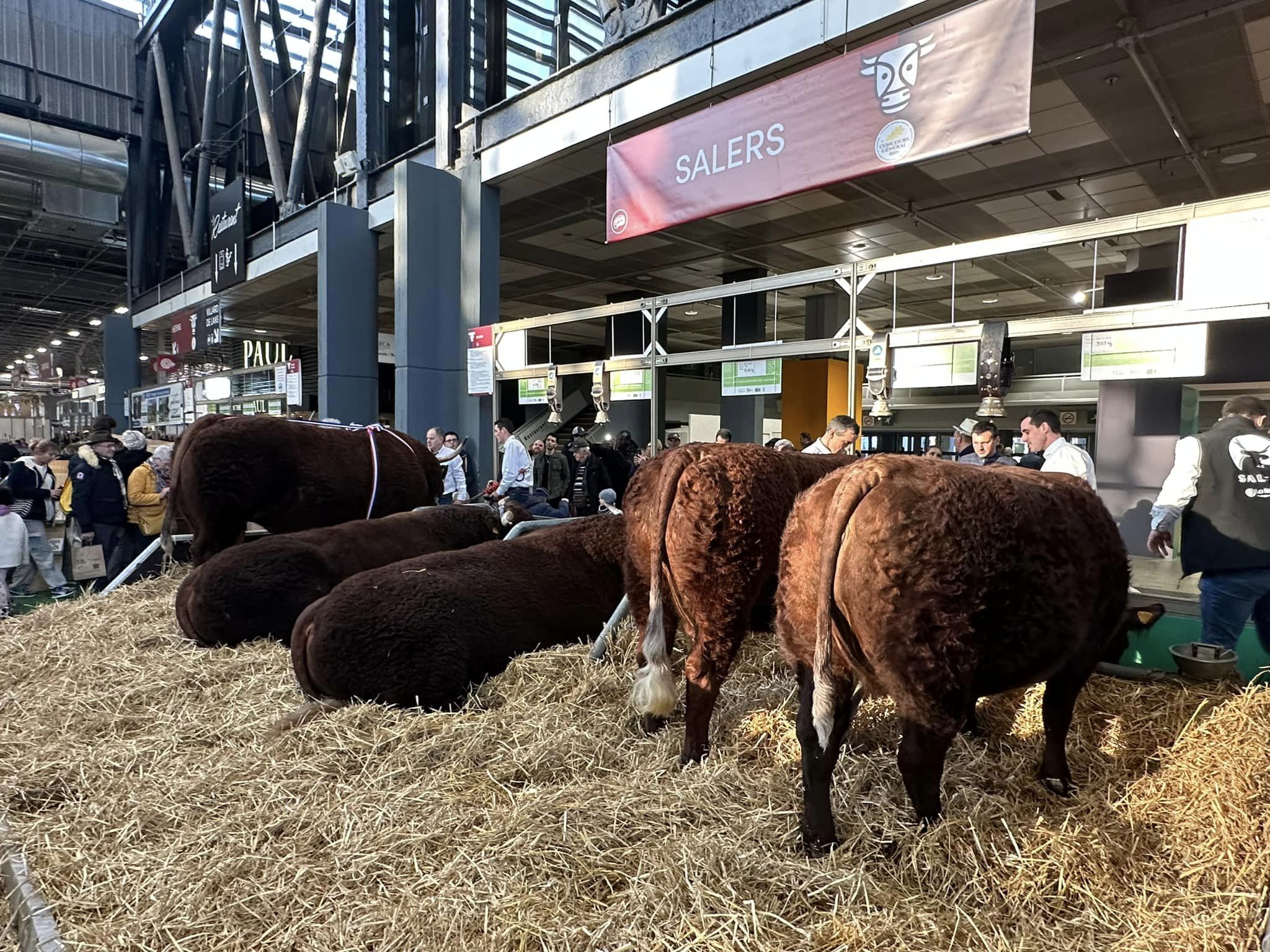 334165335_588816286618996_1174726931297681283_n 334165335_588816286618996_1174726931297681283_n