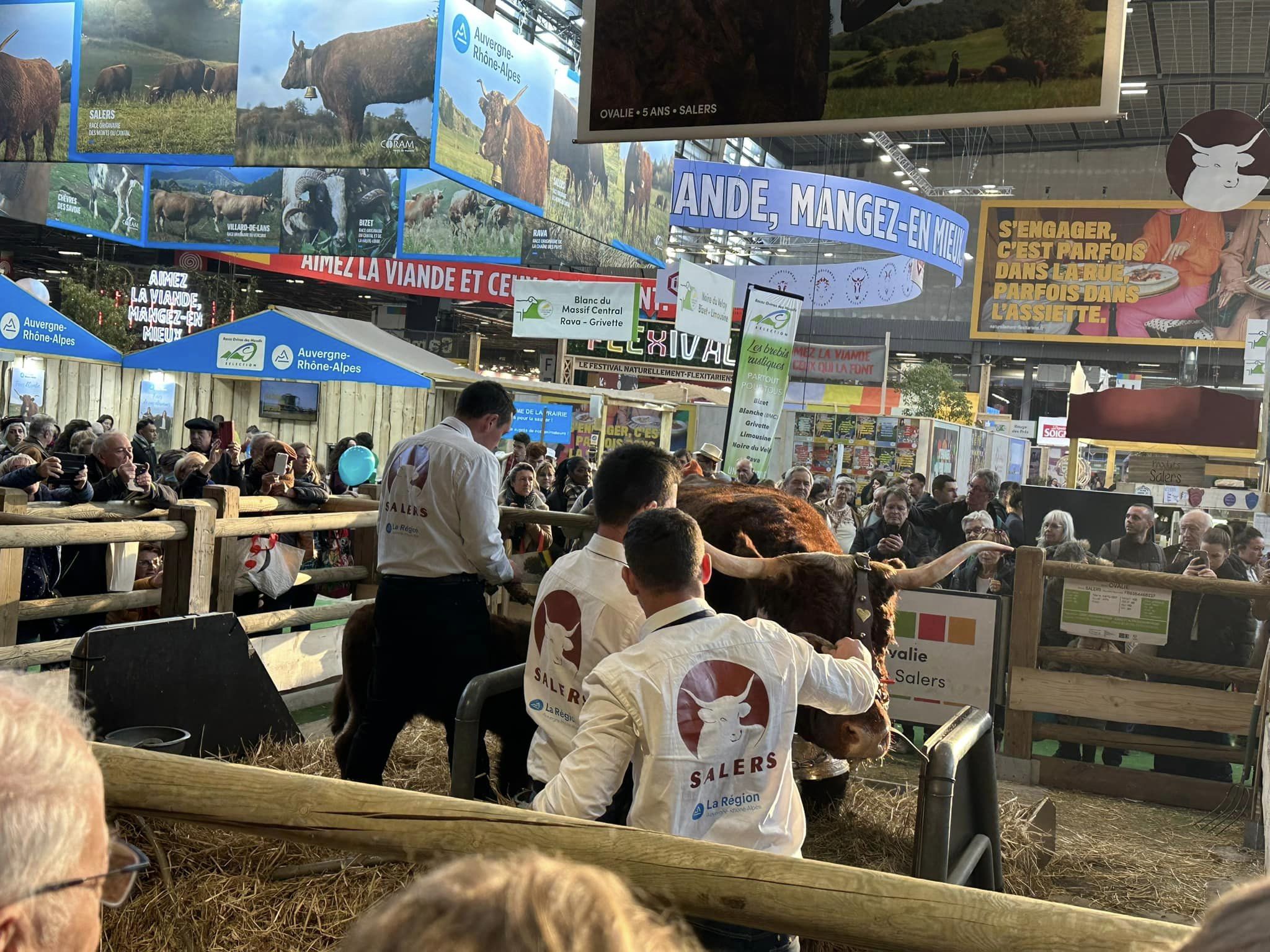 334231772_590571582975938_3746195389694673189_n 334231772_590571582975938_3746195389694673189_n