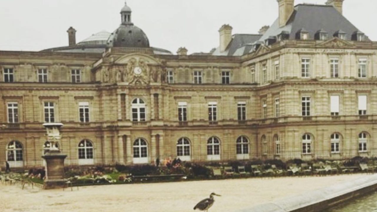 Écriture inclusive : le Sénat dit stop !