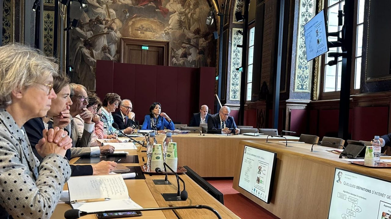 Délégation à la prospective : l’IA et l’avenir du service public