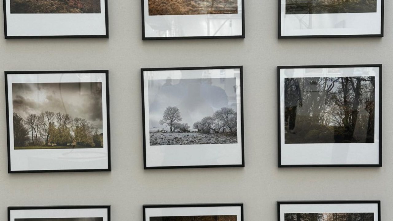 Territoires d’industrie : structuration de la filière bois