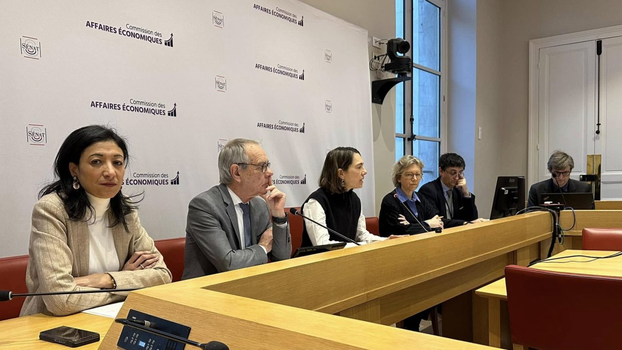 Délégation à la Prospective du Sénat : IA et avenir du Service public