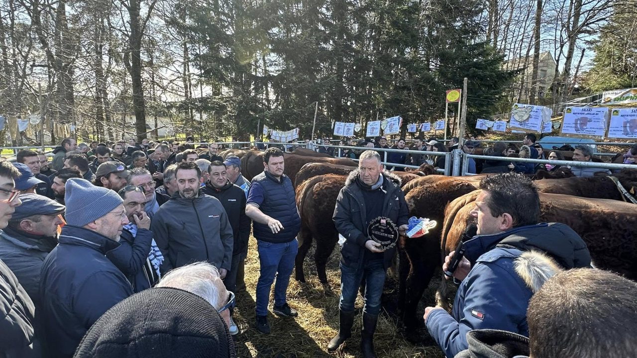 14e édition de la fête du boeuf de Pâques du pays de Montsalvy à Lafeuillade-en-Vézie