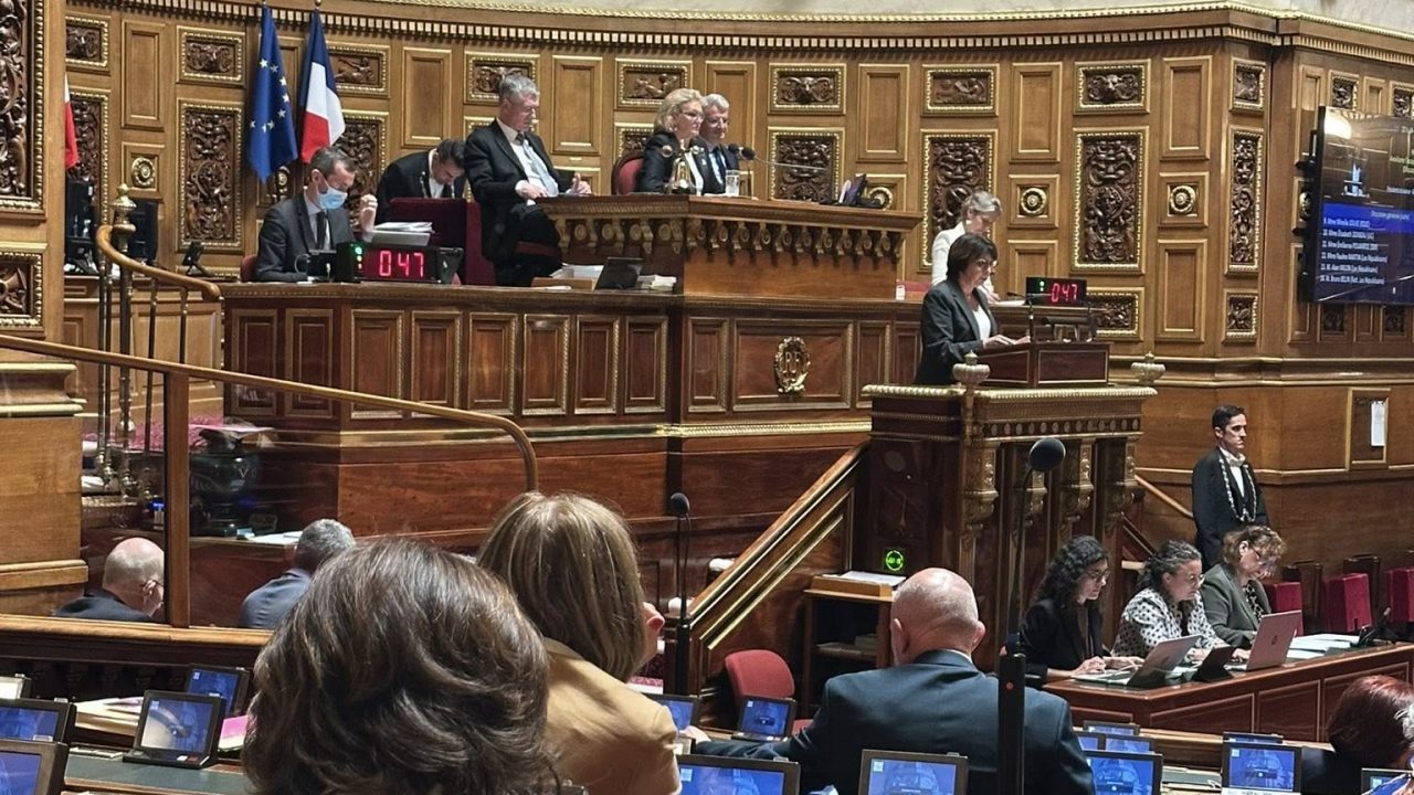 Examen au Sénat de la Proposition de loi (PPL) visant à améliorer l’accès aux soins dans les territoires