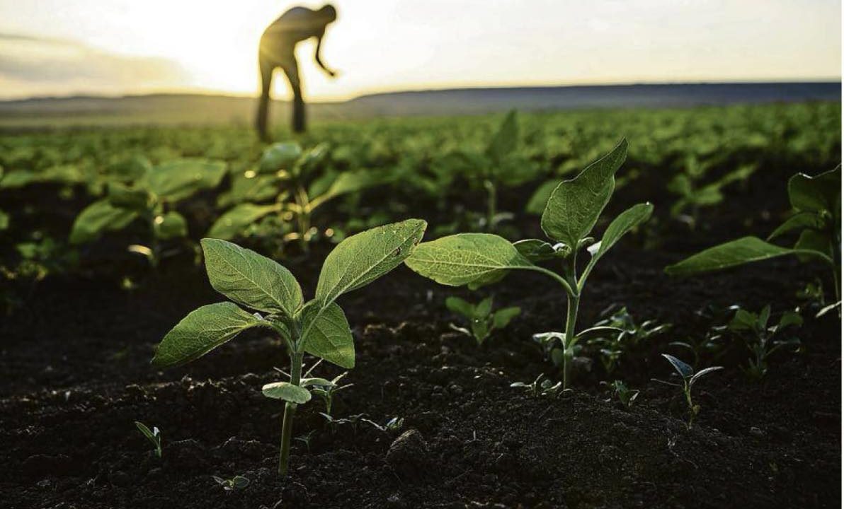 Crise agricole : assumer l’agroécologie pour une agriculture soutenable et souveraine