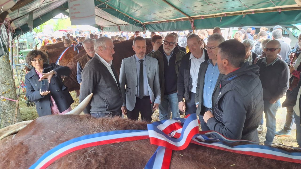 Fête de l’estive à Allanche : 33ème édition