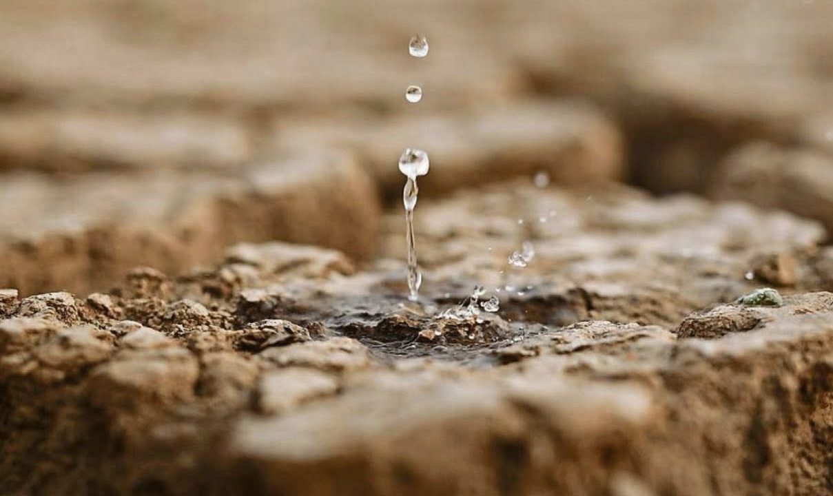 Urgence climatique
