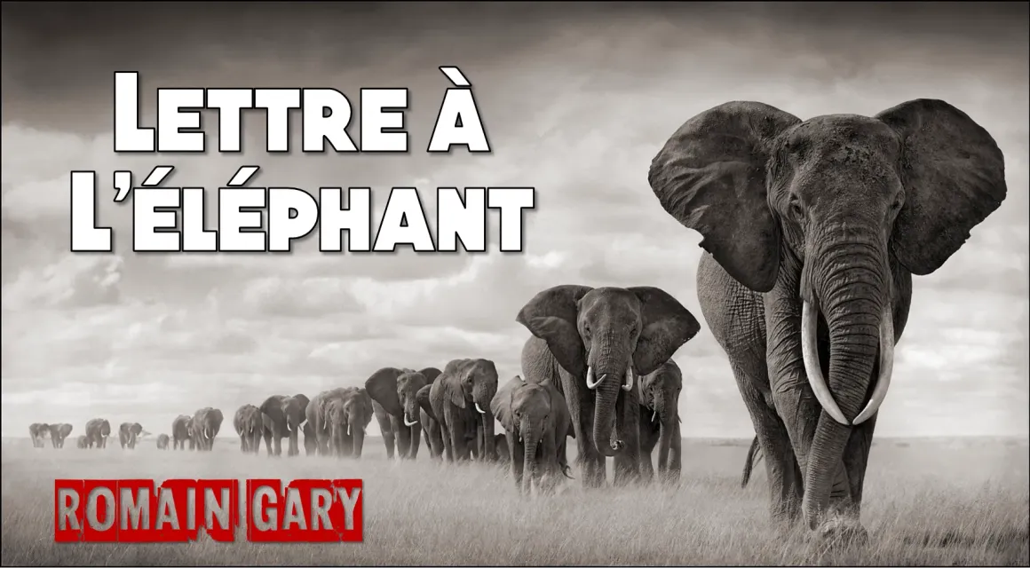 La lettre à l’éléphant résonne dans notre mission de la délégation à la prospective sur les valeurs