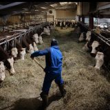 Crise agricole, le virus de la défiance....