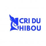 Analyse du premier tour de scrutin municipal au niveau national - Tribune « le cri du Hibou » !...