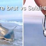 Rapprocher le salaire brut du salaire net : une nécessité pour laquelle je plaide depuis longtemps e...