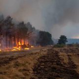Canicules, mégafeux : l’impasse de l’infantilisation citoyenne....